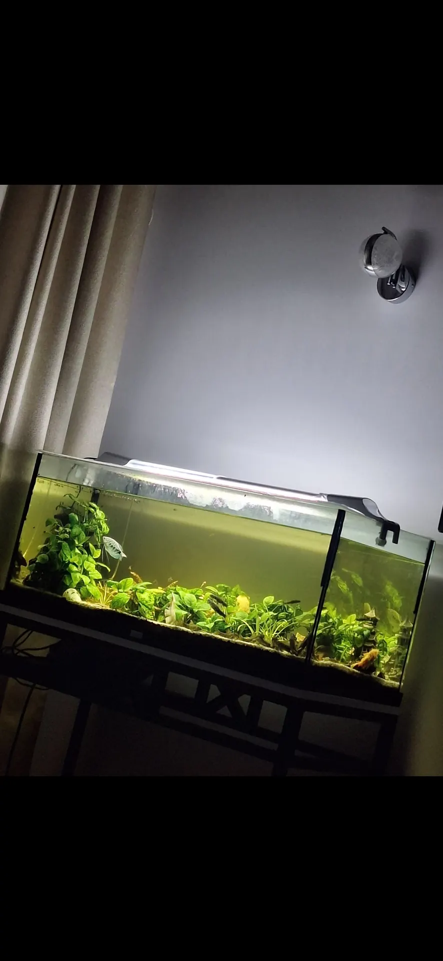Akvariumas vokiškas 3