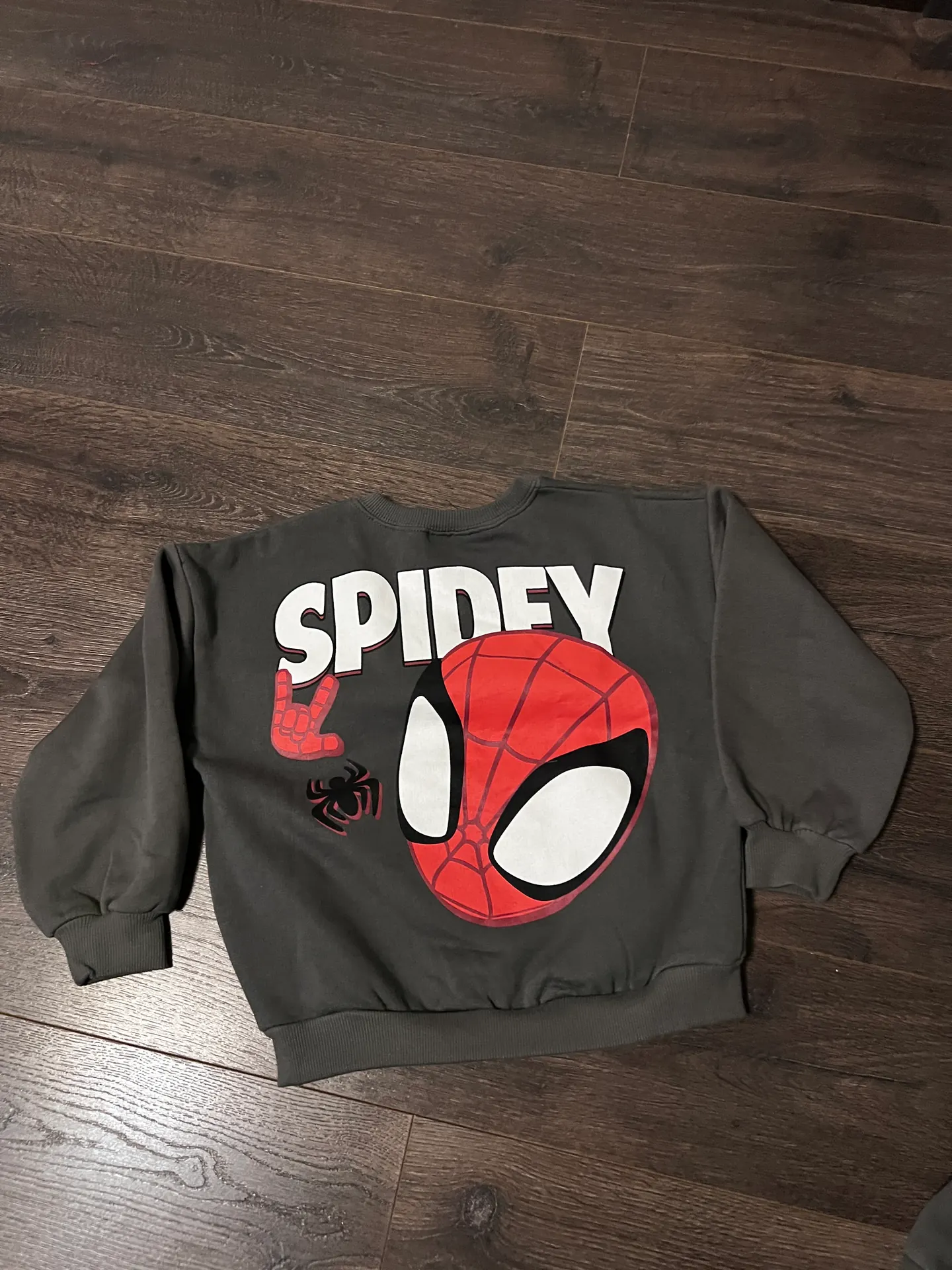 Spidey treningas 2