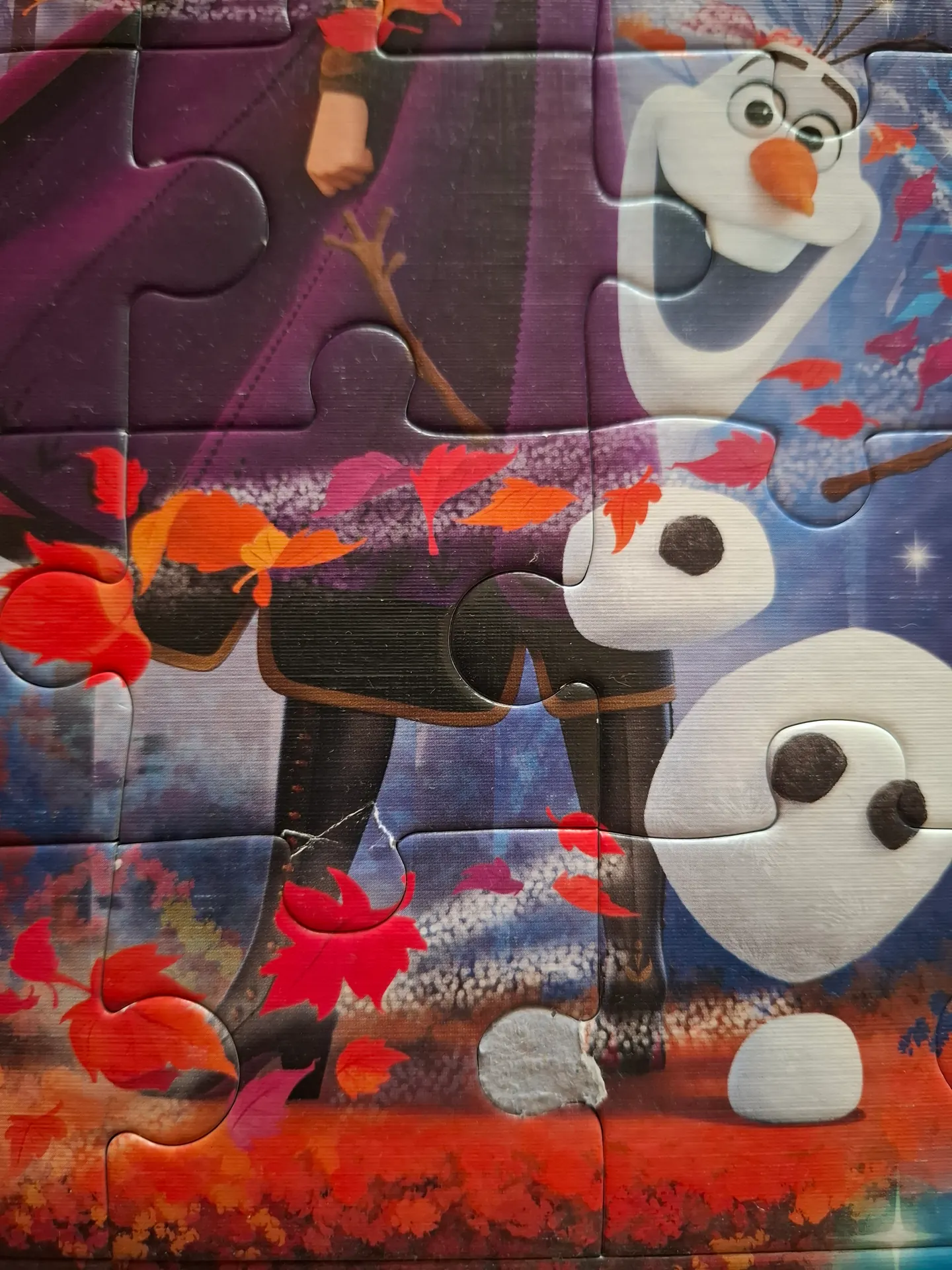 Frozen dėlionė 3