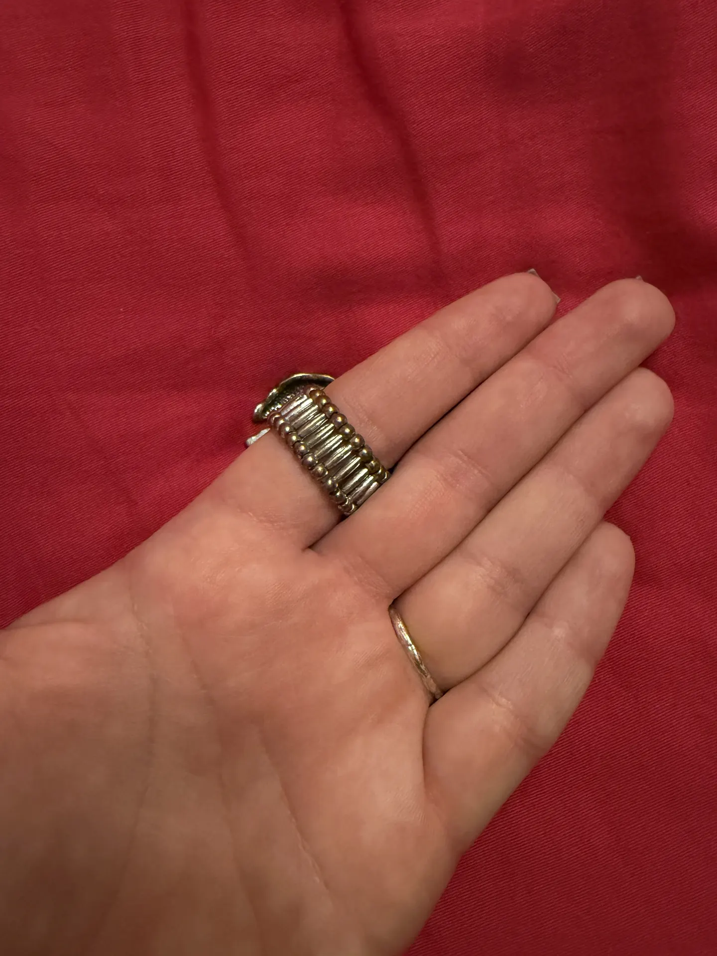 Vintazinis ziedas su žirgu 3