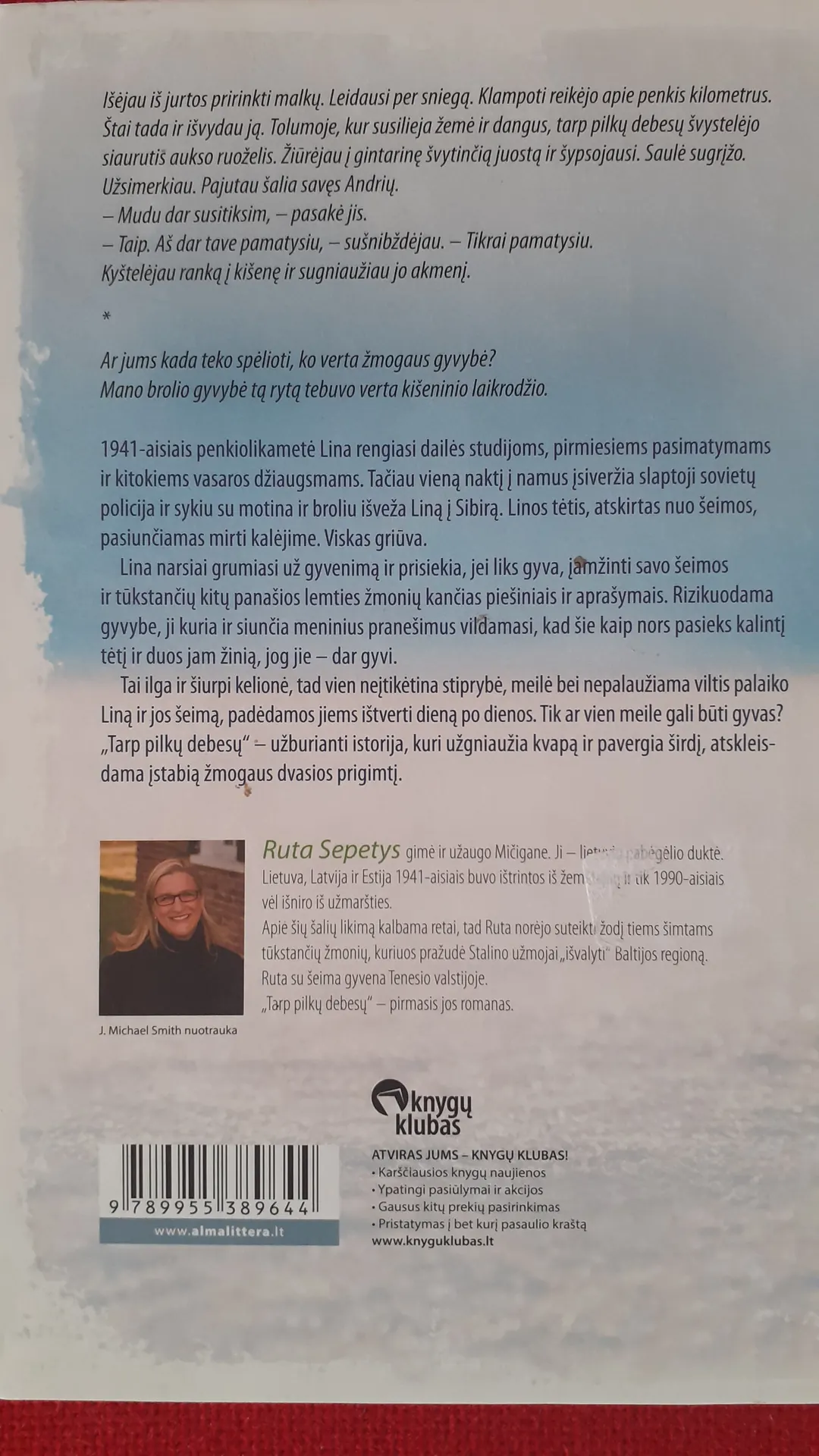 Tarp pilkų debesų 2