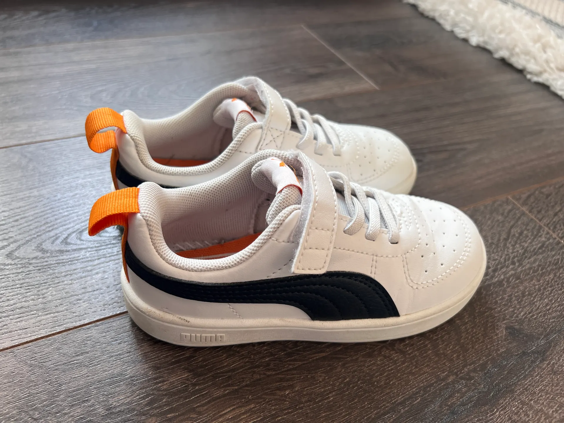 Puma kedukai 2