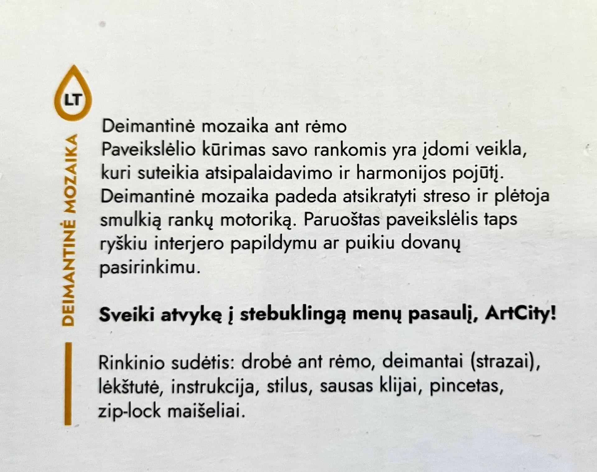 Deimantinė mozaika su rėmeliu 3